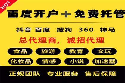案例分析：托管竞价SEM助力品牌增长